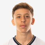 F. Rodríguez-Gentile