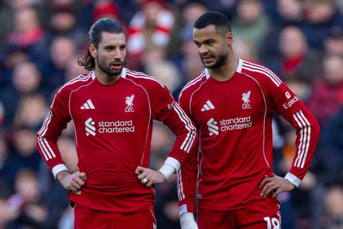 โซโบเตือนเพื่อนหงส์ ต้องตื่นตัวก่อนหลุดเวทียุโรป