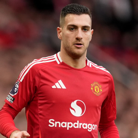 ดูวิเคราะห์ พี่ริมยกย่อง! 'ดาโลต์' โคตรสารพัดประโยชน์