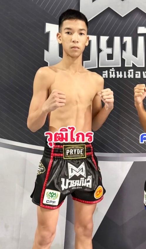 วุฒิไกร